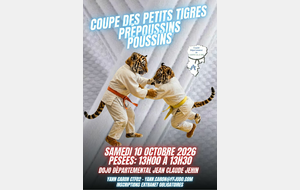 Animation des Petits Tigres PréPoussins/Poussins
